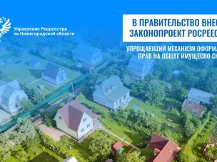 Нижегородские садоводы ждут упрощения: Росреестр работает над новым законом